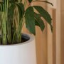 Pottery Pots Essential Nax ronde plantenbak hoog mat wit detail
